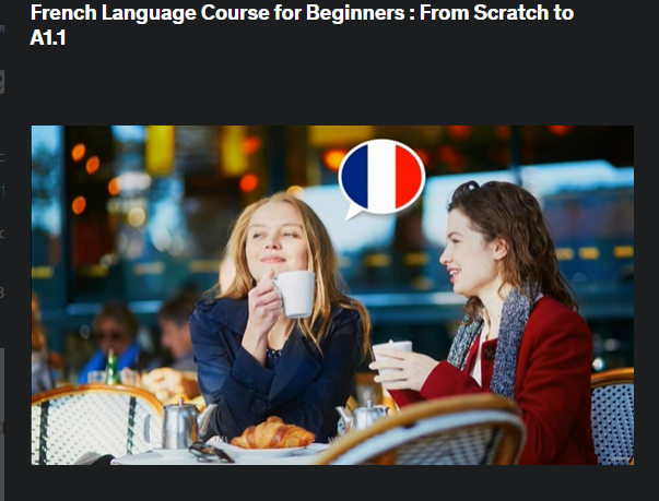 The screenshot from Udemy - French Language Course for Beginners: From Scratch to A1.1