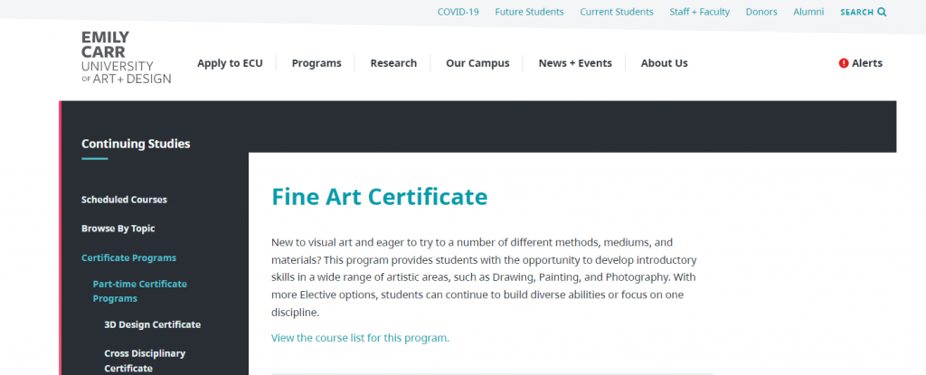 the screenshot from the course of Emily Carr University - Fine Art Certificate