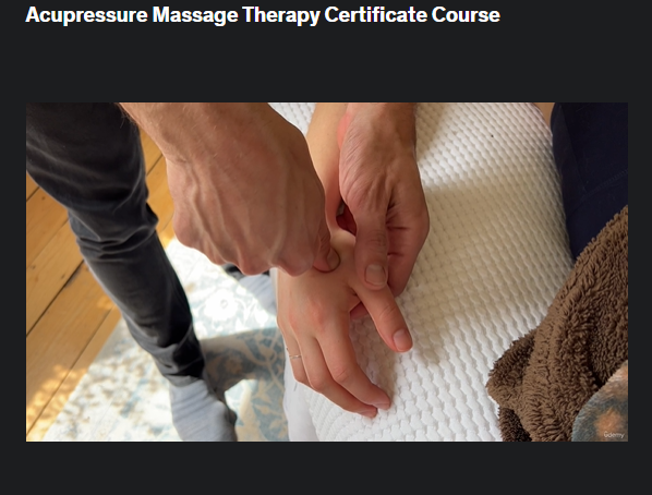 the screenshot from the course of Udemy - Acupressure Massage Therapy Certificate Course