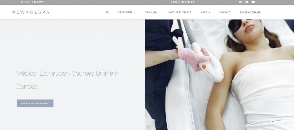 the screenshot from the course of New Age Spa - Medical Esthetician Courses