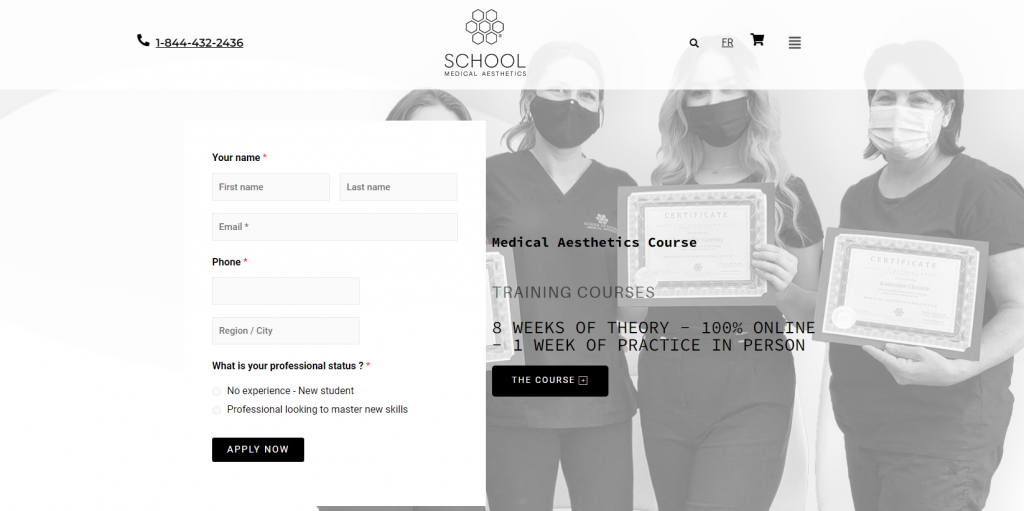 the screenshot from the course of School of Medical Aesthetics - Medical Aesthetics Course