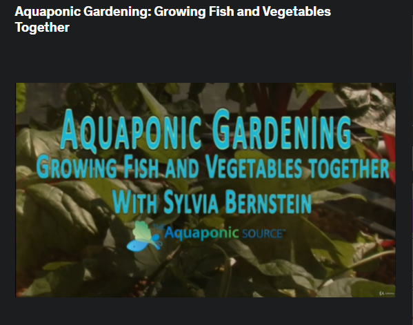 the screenshot from the course of Udemy - Aquaponic Gardening