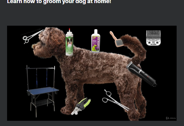 the screenshot from the course of Udemy - Learn How To Groom Your Dog