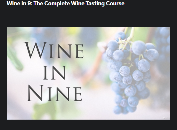 the screenshot from the course of Udemy - Wine in 9: The Complete Wine Tasting Course