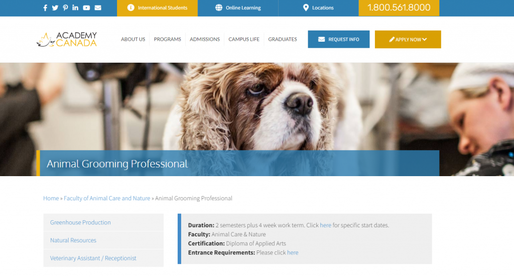 the screenshot from the course of Academy Canada's Animal Grooming Professional Program 