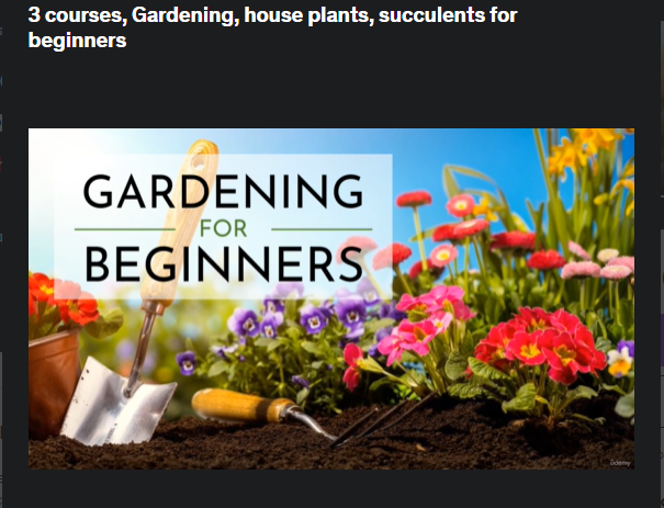 the screenshot from the course of Udemy - Gardening, House Plants, Succulents for Beginners