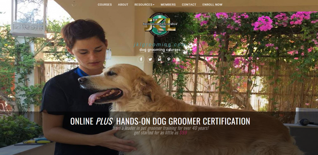 the screenshot from the course of JKL Diploma Online Dog Grooming Course