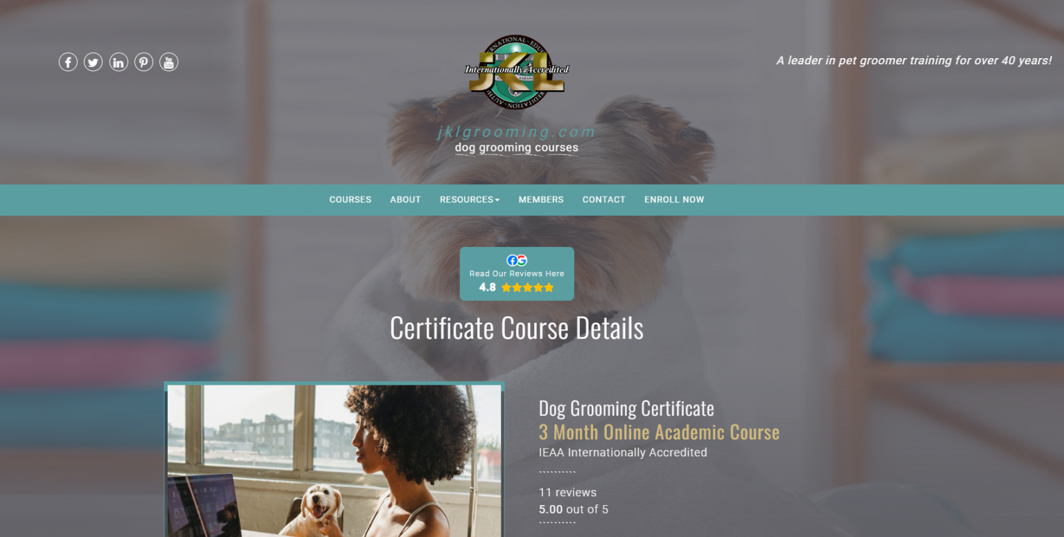 Picture of Top 7 Online Dog Grooming Courses for Canadians in 2026